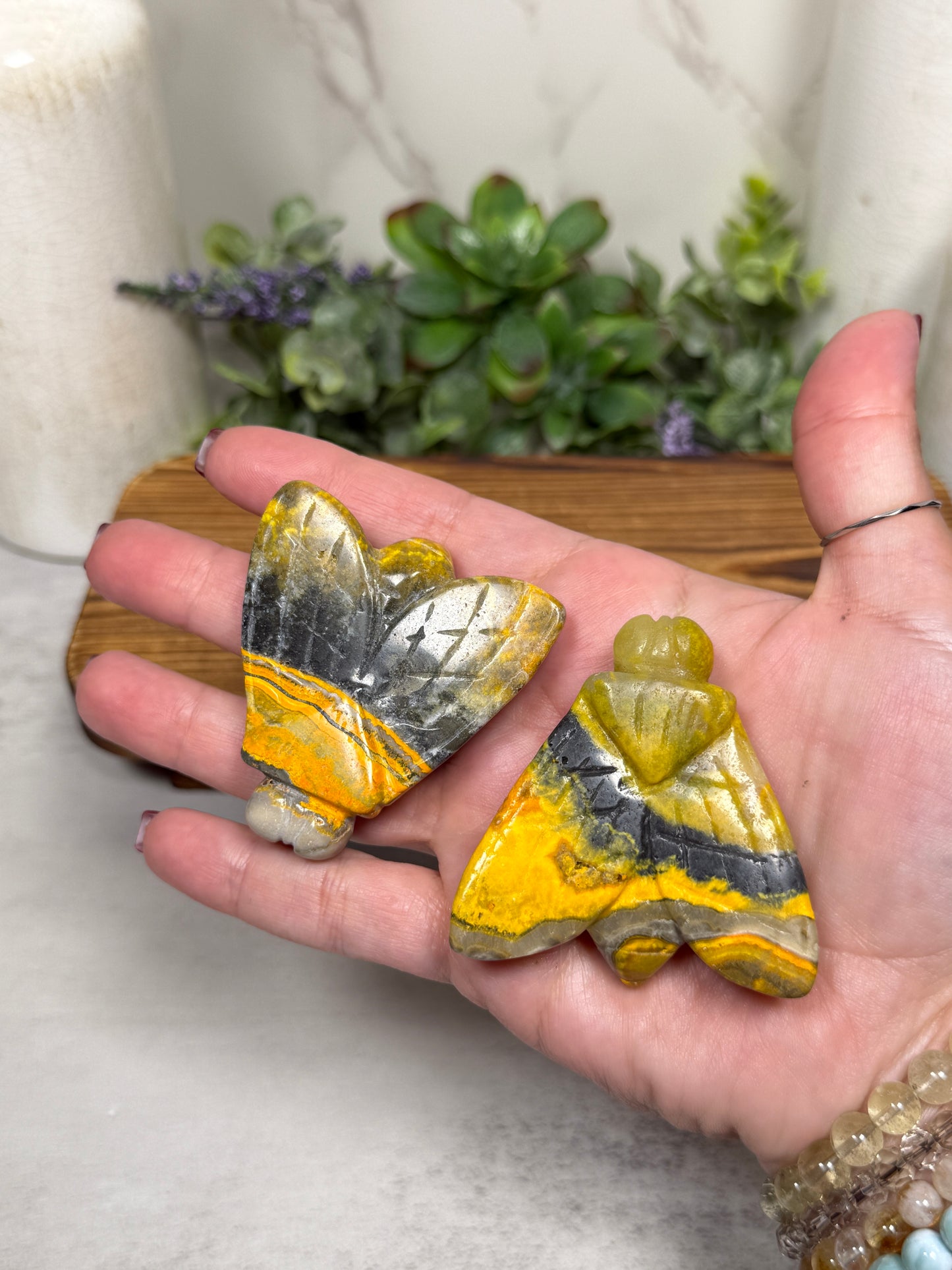 Bumble Bee Jasper Bees