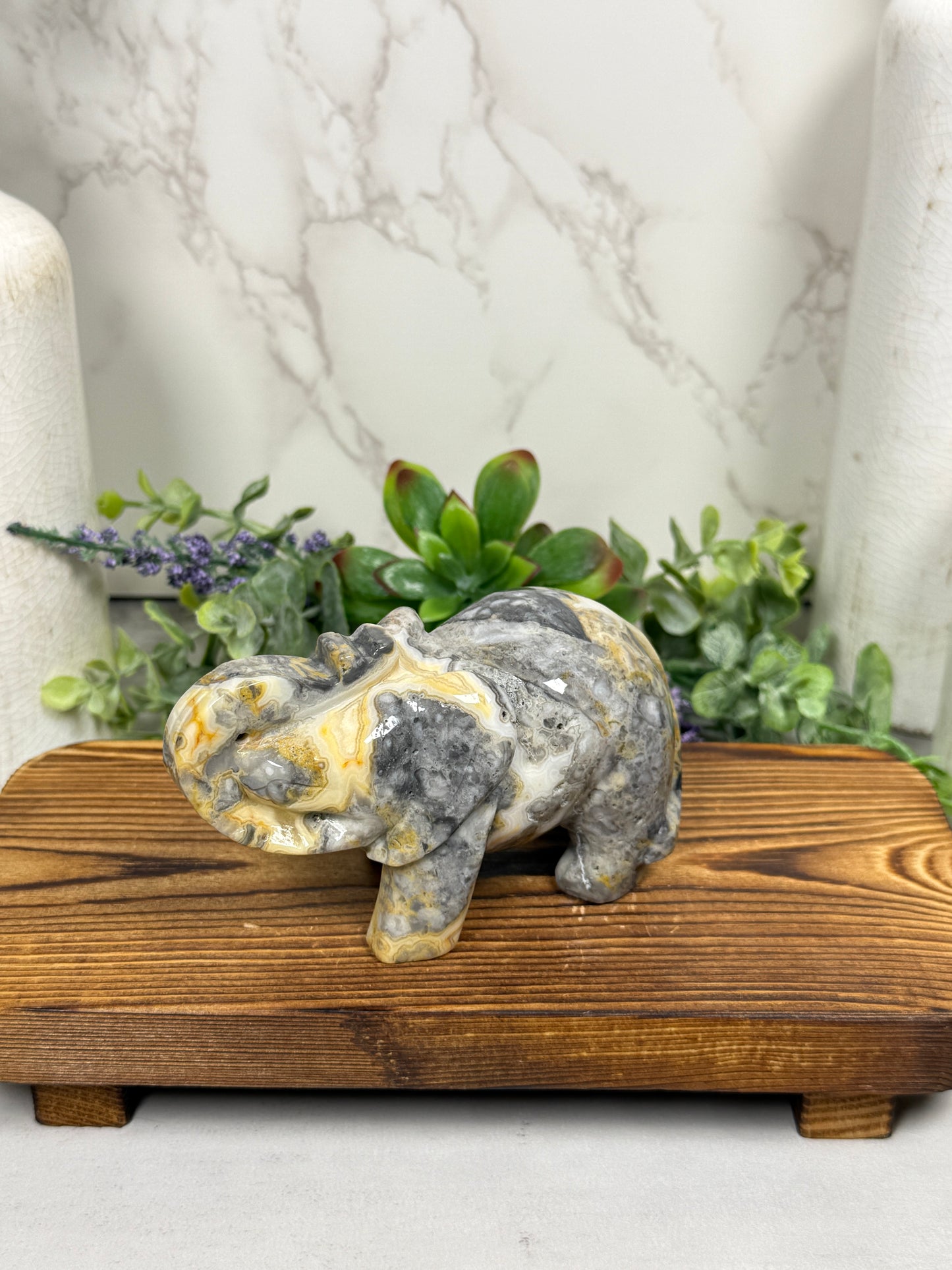 Yellow Crazy Lace Elephant