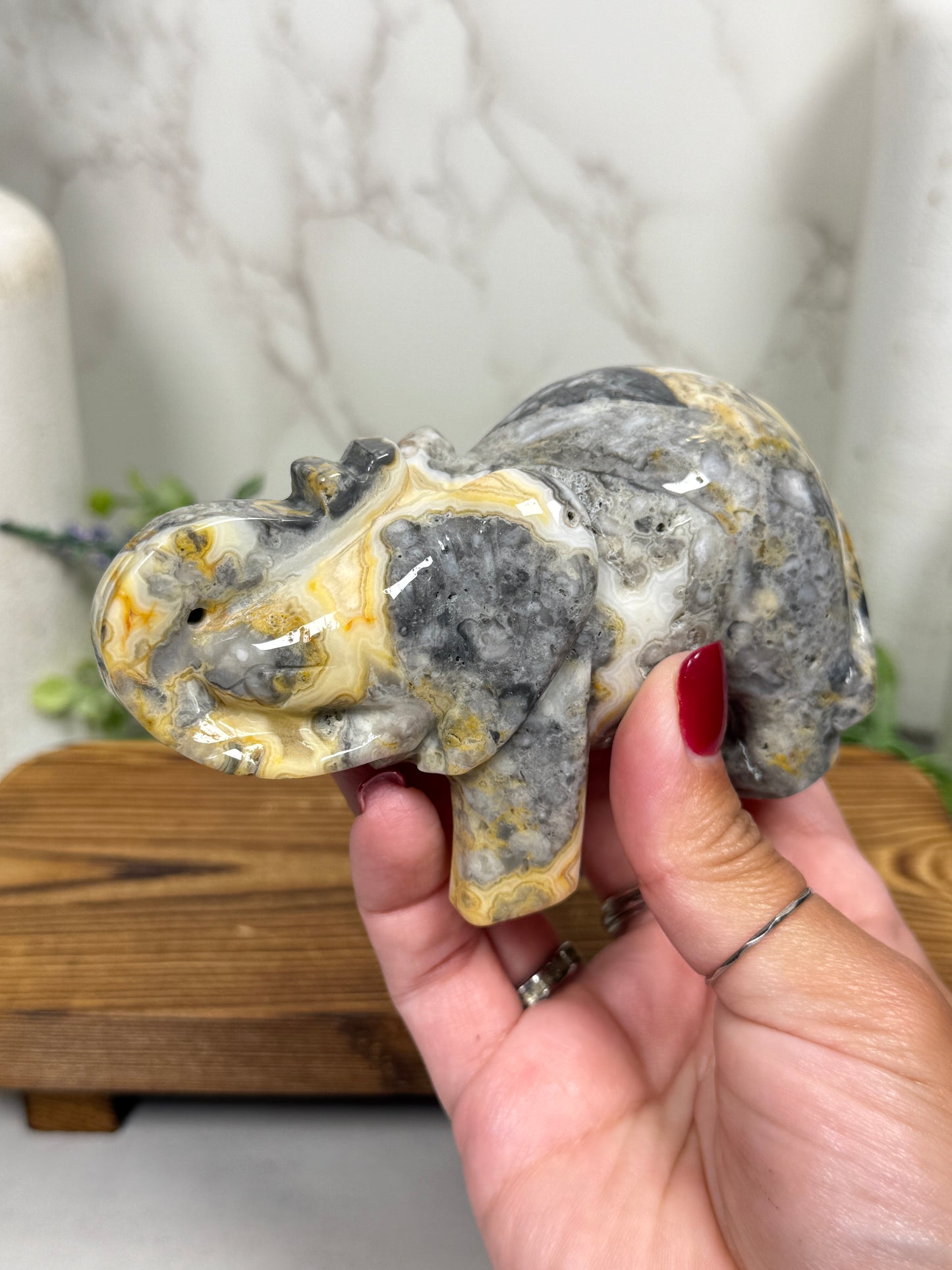Yellow Crazy Lace Elephant