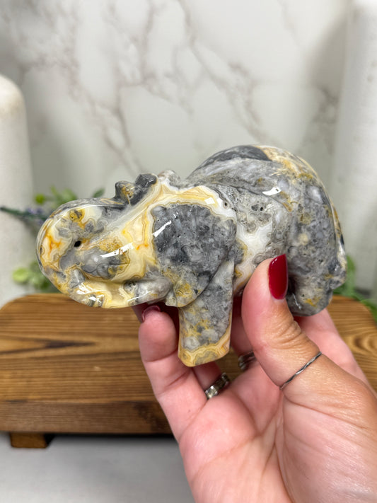 Yellow Crazy Lace Elephant