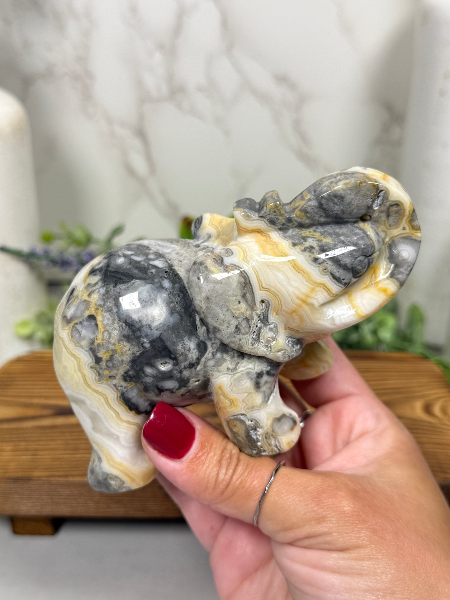 Yellow Crazy Lace Elephant