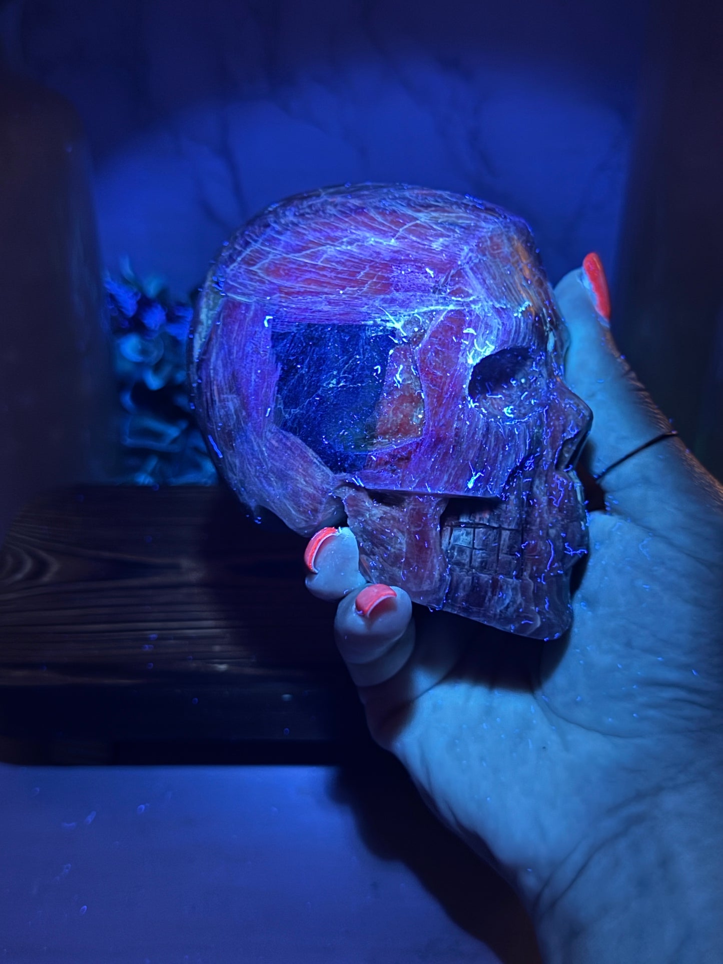 Blue Kyanite Skulls