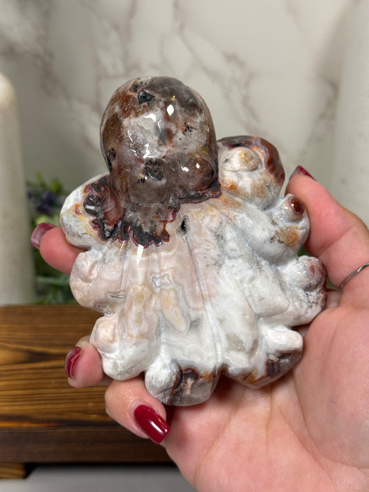 Mexican Crazy Lace Octopus