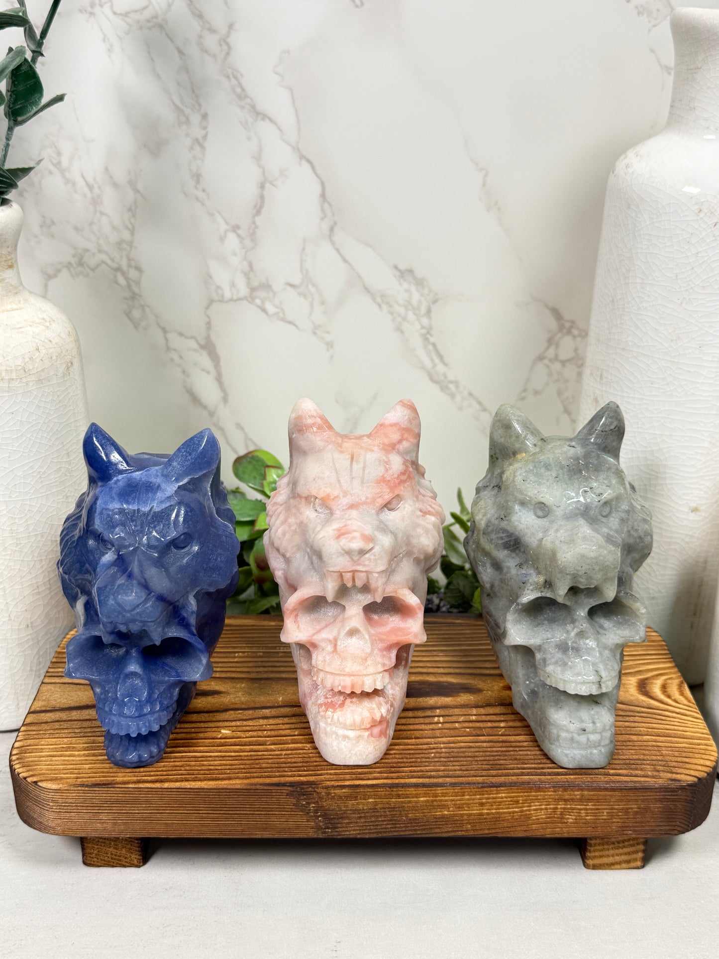 Wolf Skulls
