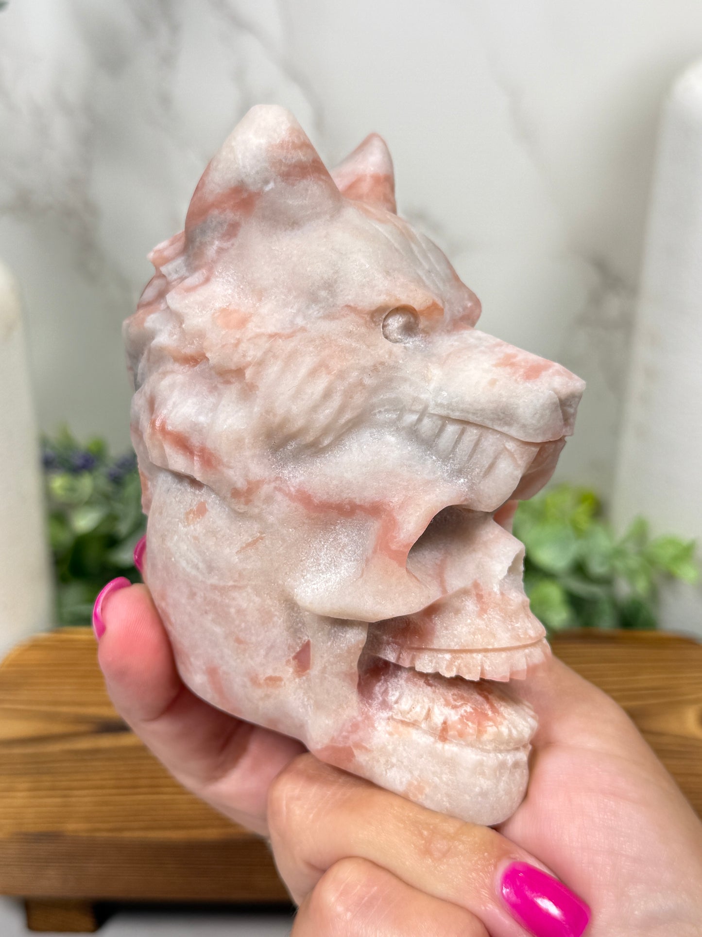 Wolf Skulls