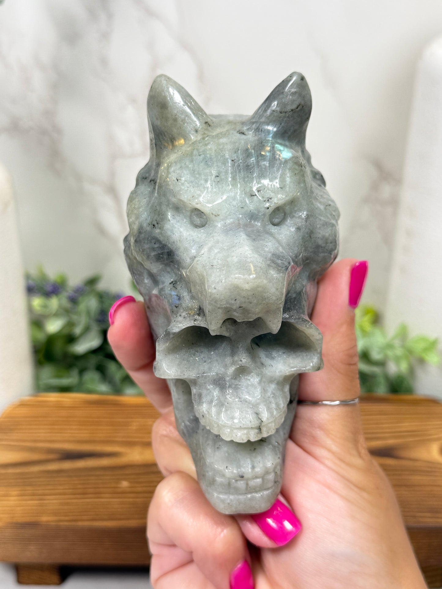 Wolf Skulls