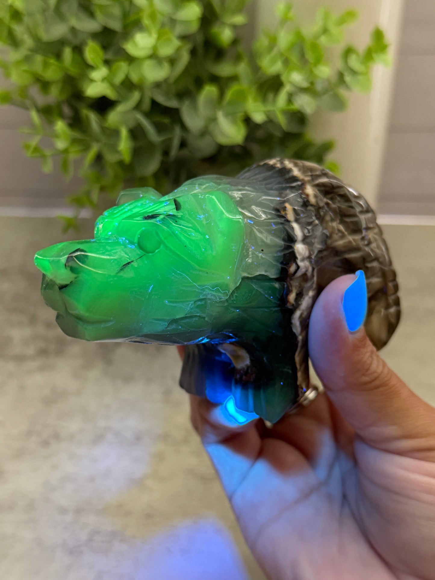 Volcano Agate Bears