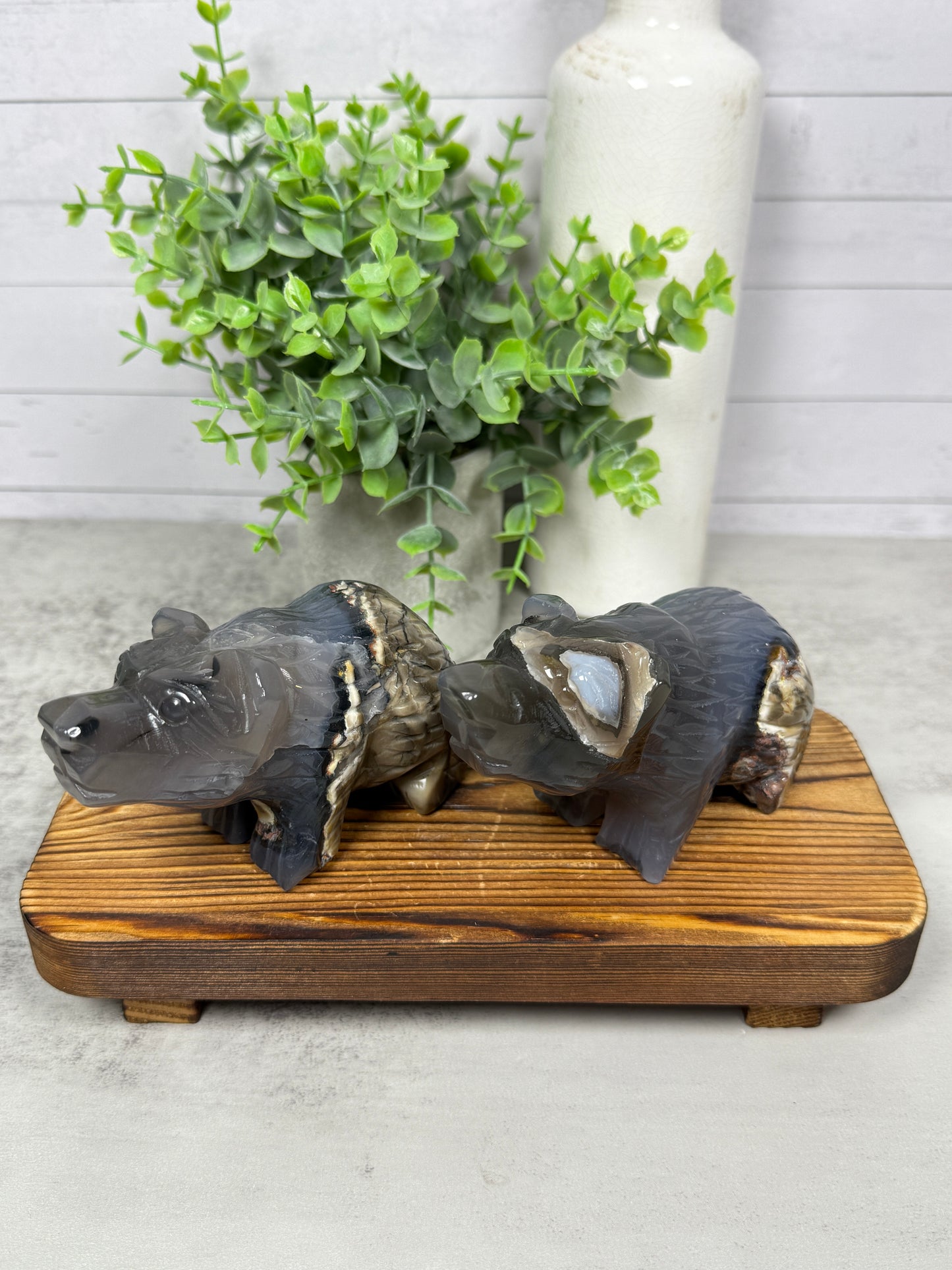 Volcano Agate Bears