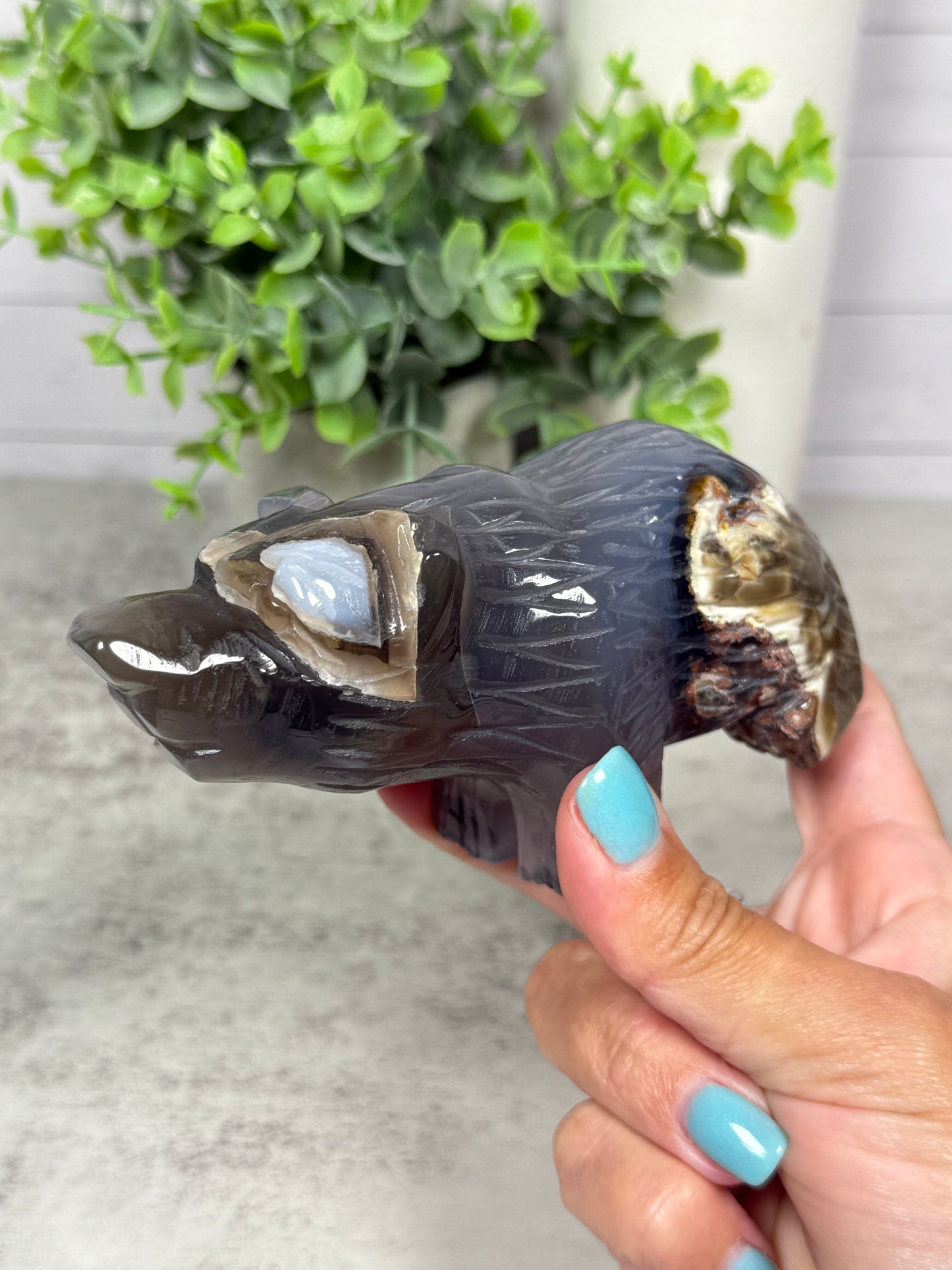 Volcano Agate Bears