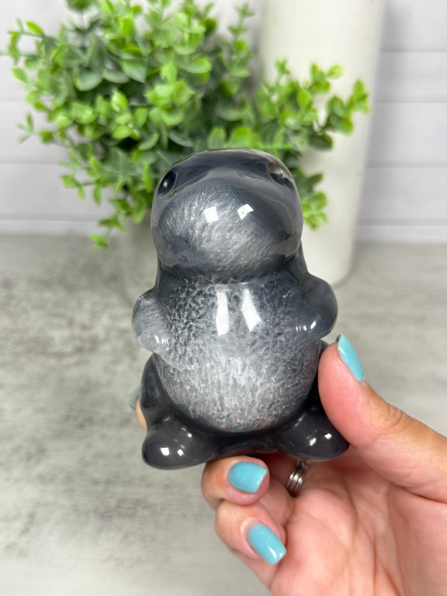 Volcano Agate Chubby Dinos