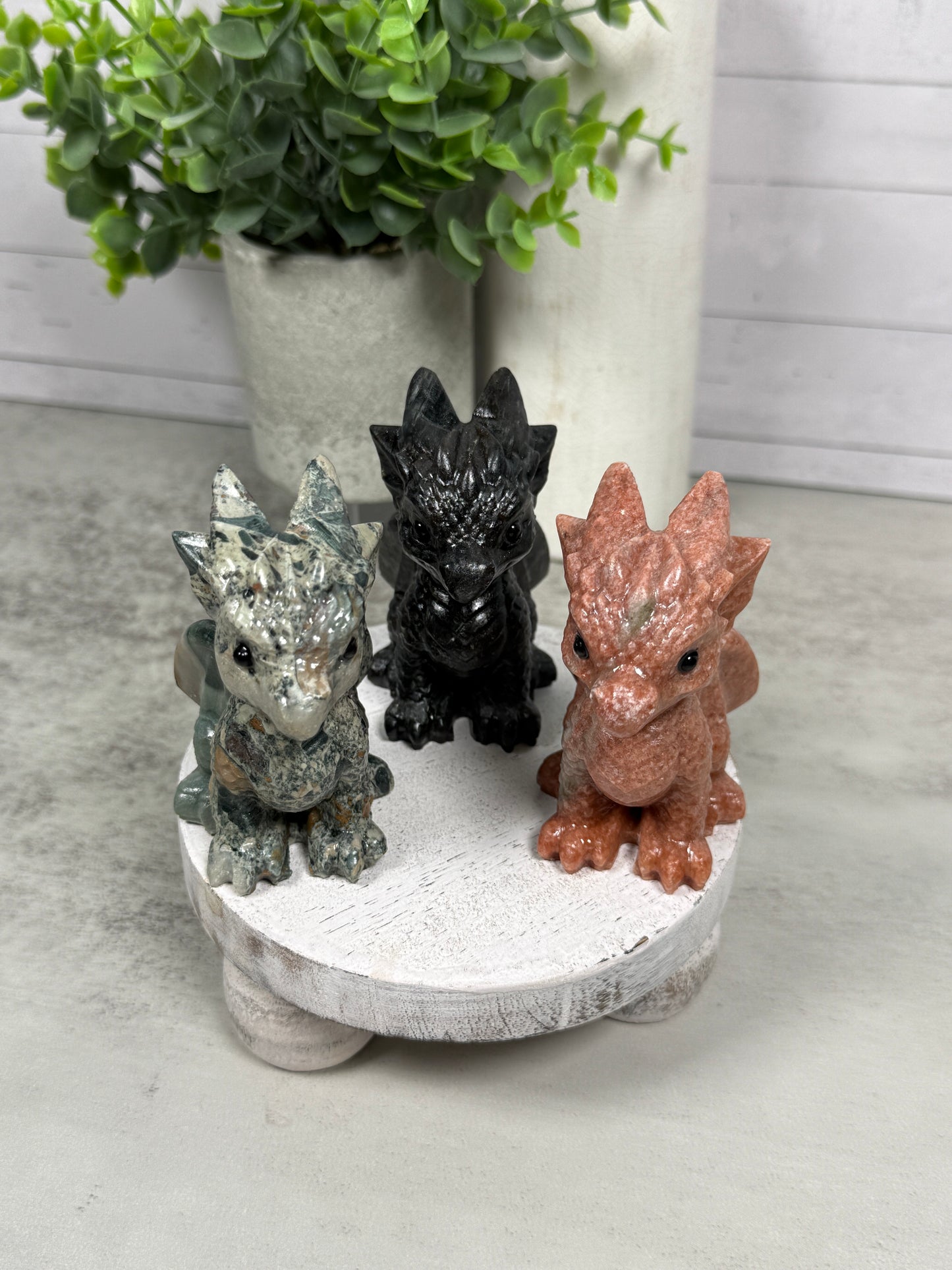 Cute Dragons