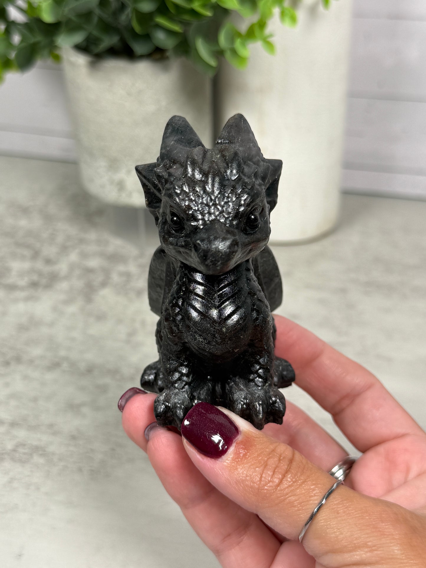 Cute Dragons