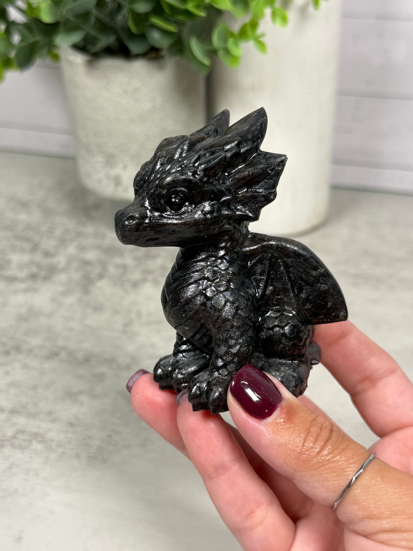 Cute Dragons