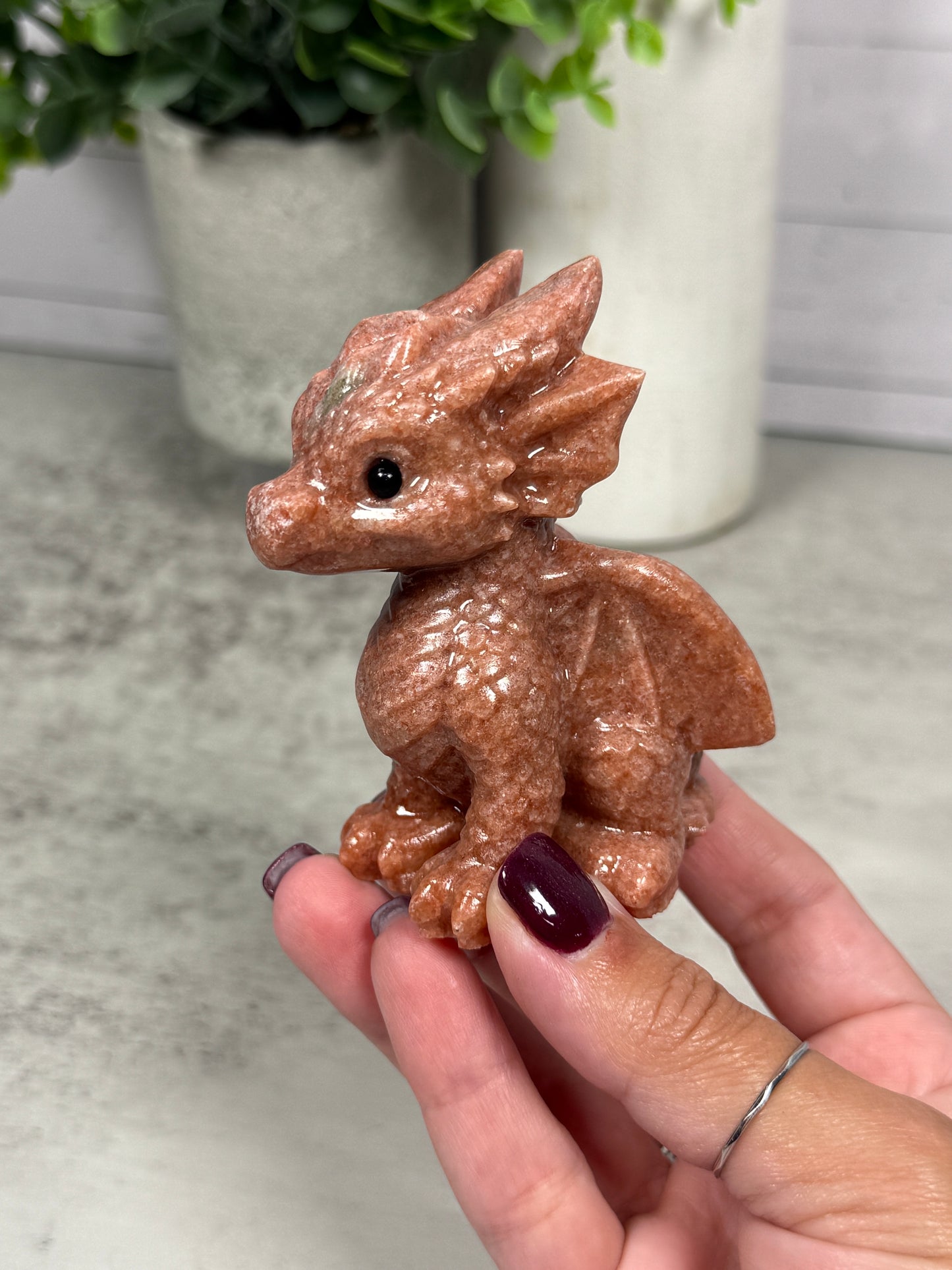 Cute Dragons