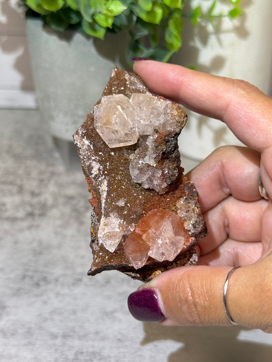 Druzy Calcite from Mexico