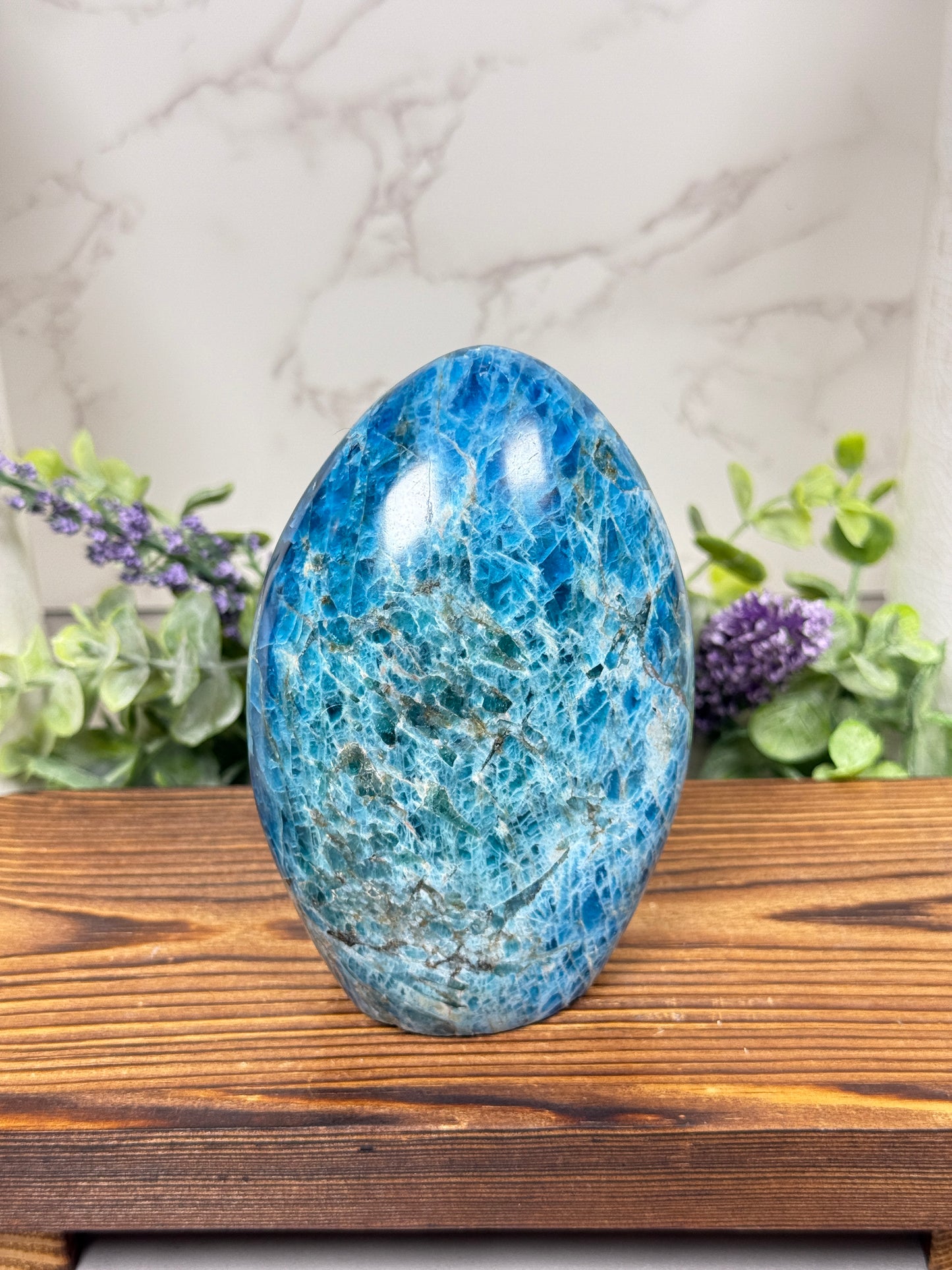 Blue Apatite Free Form