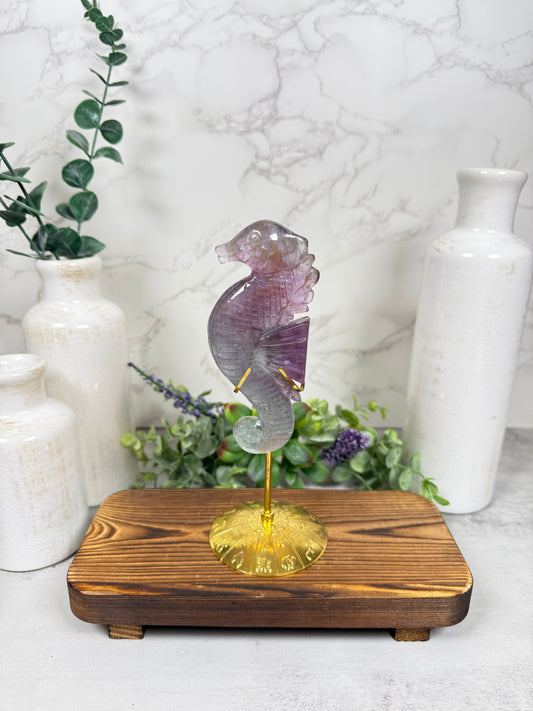 Fluorite Seahorse